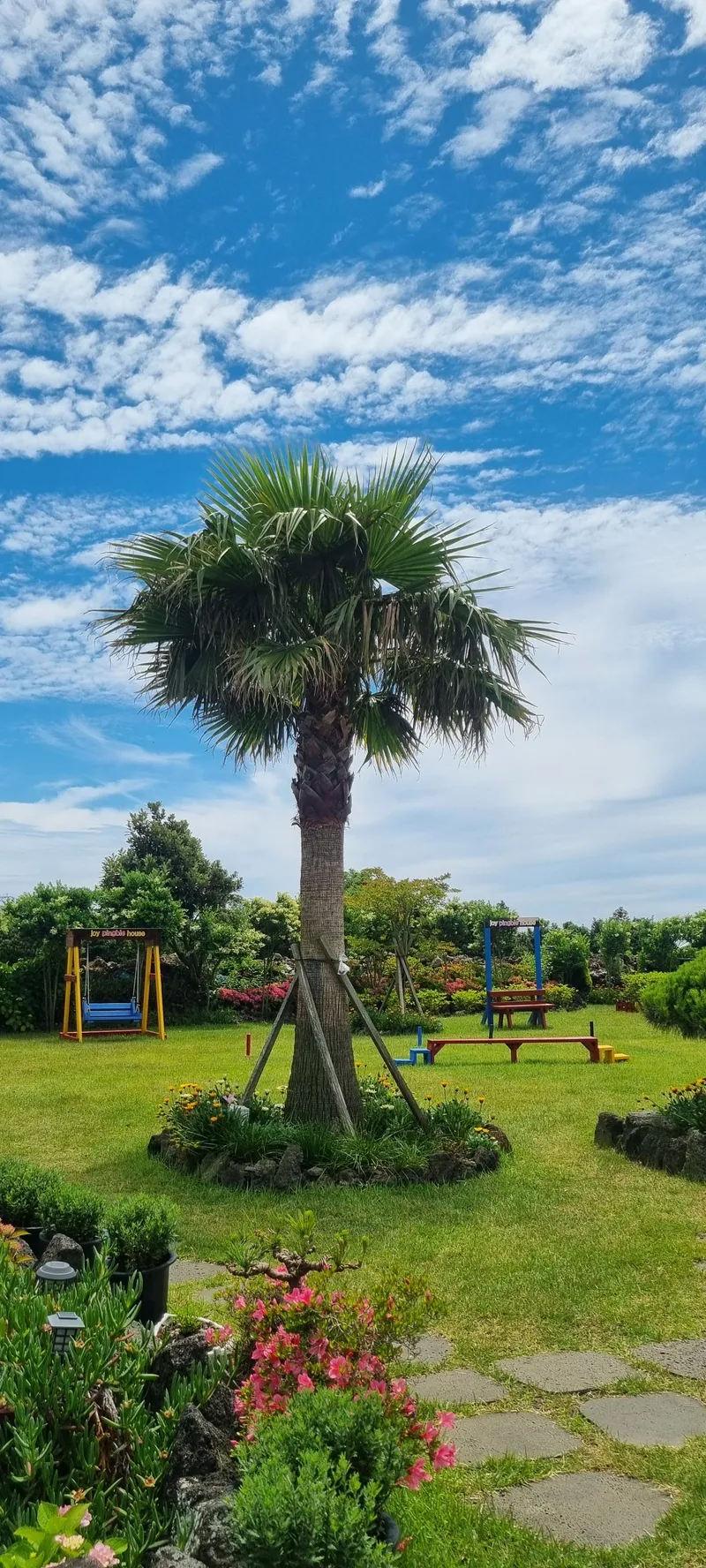[Gujwa, Jeju] European-style accommodation, pet-friendly one-room duplex Blue Jeju #Large dogs allowed 29