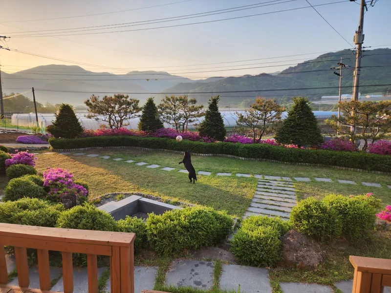 [Hoengseong] High-class three-room detached house in Chiaksan Bugok National Park #Pets allowed 22