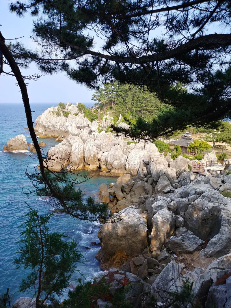[강원 동해] 묵호바닷가 데크 마당이 있는 리모델링 된 작은 단독주택 29