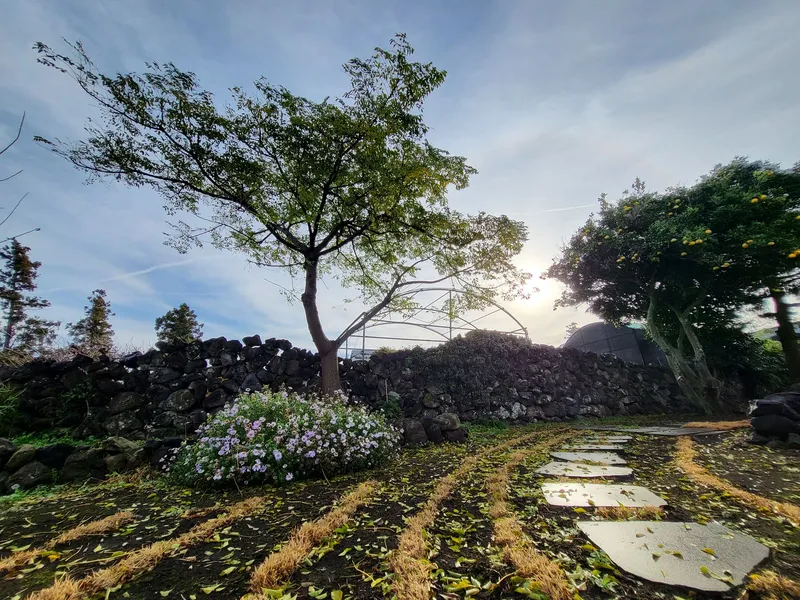 [Aewol, Jeju] #Private #Pets allowed #Free tangerine experience #BBQ 14