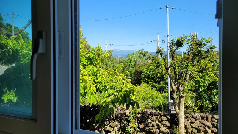 [Aewol, Jeju] Lawn yard stone wall detached house annex #Pets allowed #Early check-in 13