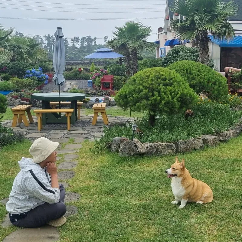 [제주 구좌] 유럽풍숙소 애견동반가능한 원룸복층주택 핑크오름 #대형견가능 125