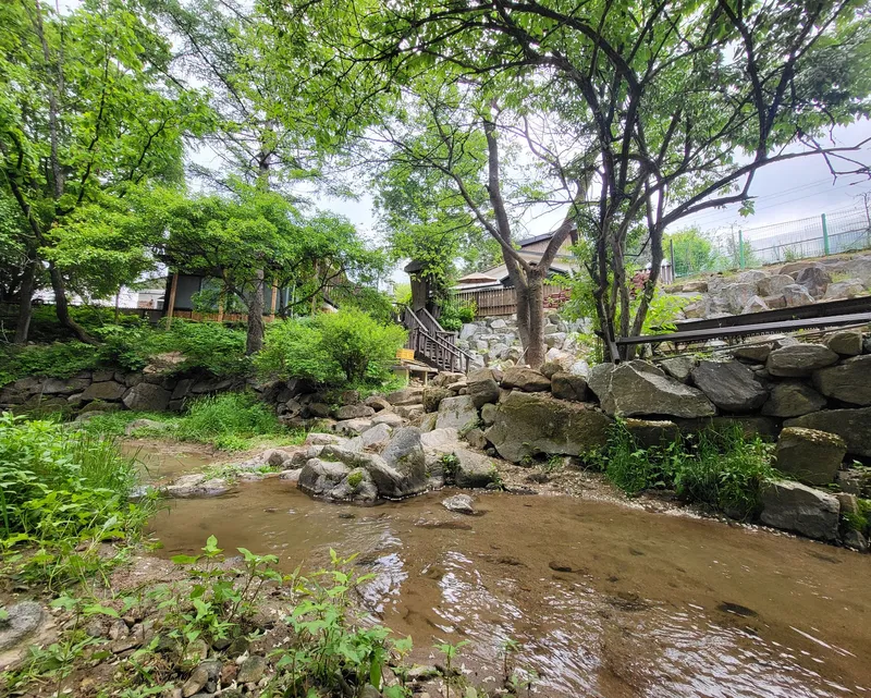 [강원 횡성] 해발700고지의 나만의 계곡×숲세권#애견동반 16