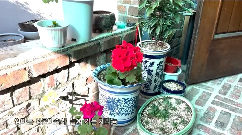 [Jeonju] Jeonju Harmony 11