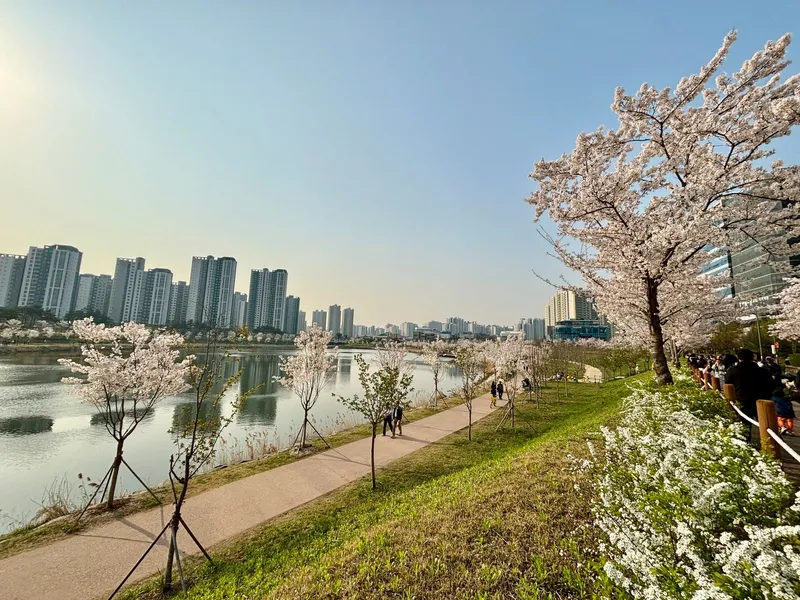 [경기 하남] 미사역 신축 푸르지오 무료 피트니스 북카페 제공 A 60