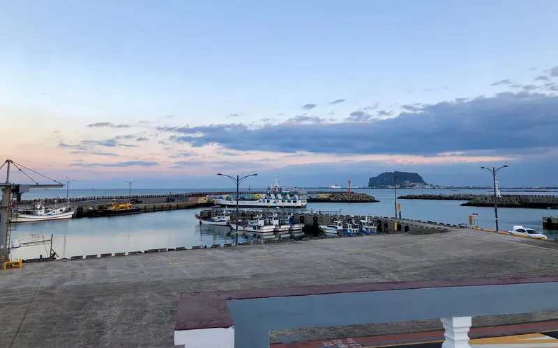 [제주 구좌] 종달바다 도보 30초 돌담과 넓은마당의 쓰리룸 독채 #가족숙소추천 25