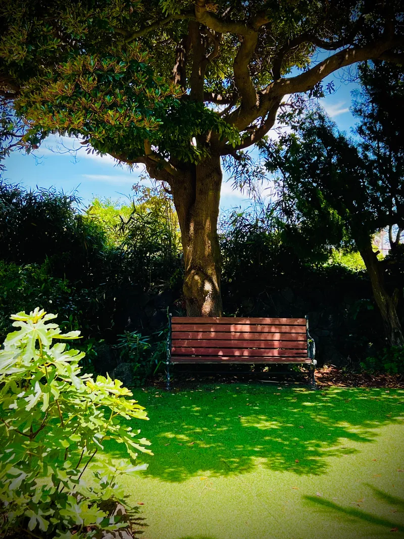 [Aewol, Jeju] #Best location #Large garden #Pets welcome #Value for money #Emotional accommodation 30