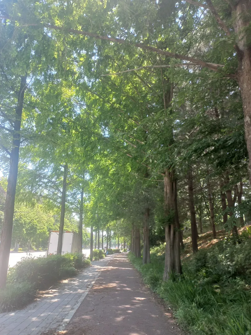 [광주 북구] 솔로몬의 방 35
