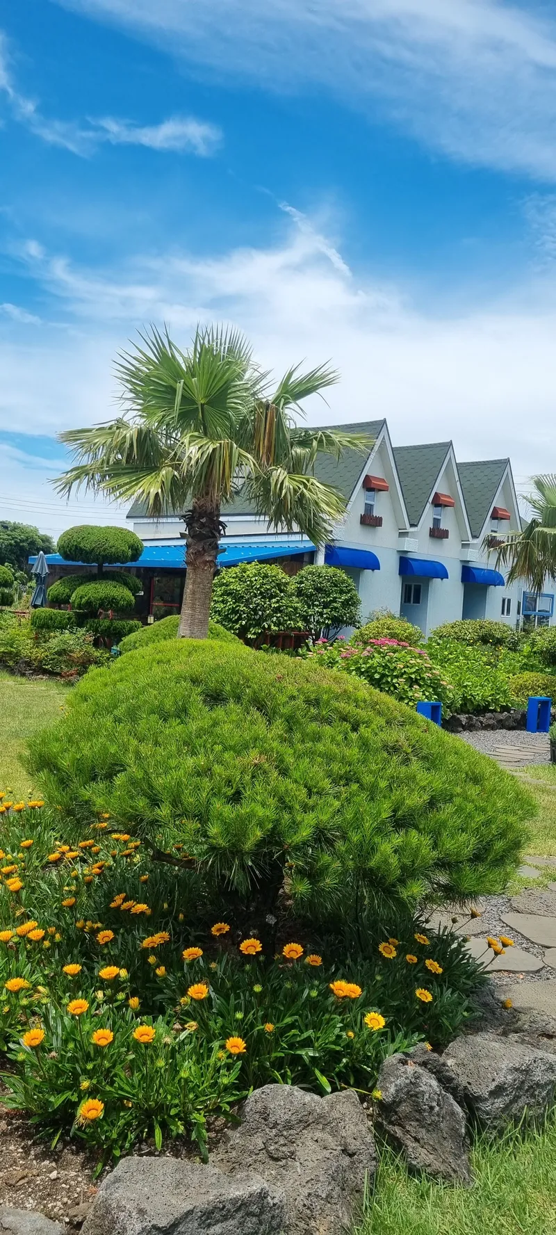 [Gujwa, Jeju] European-style accommodation, pet-friendly one-room duplex Blue Jeju #Large dogs allowed 26