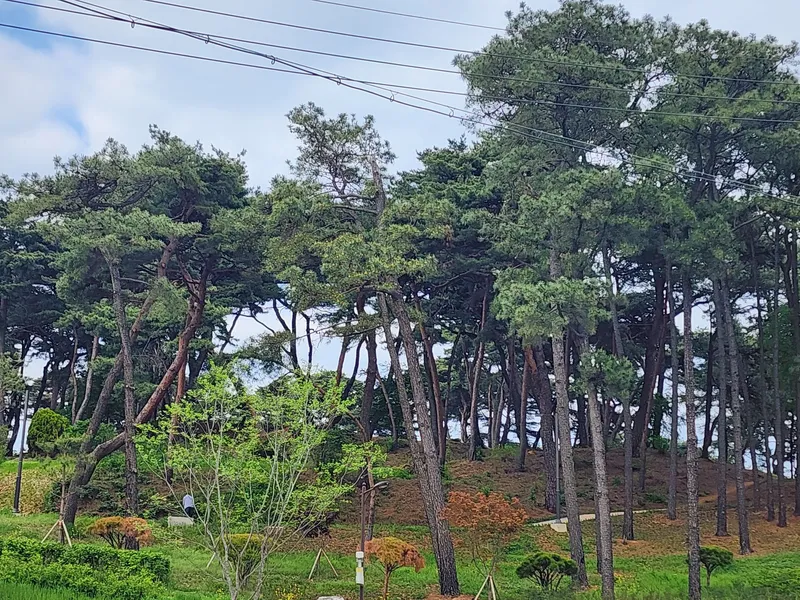 [경기 평택] 편의시설많고 조용하고 주차편리 분리형원룸주택 21