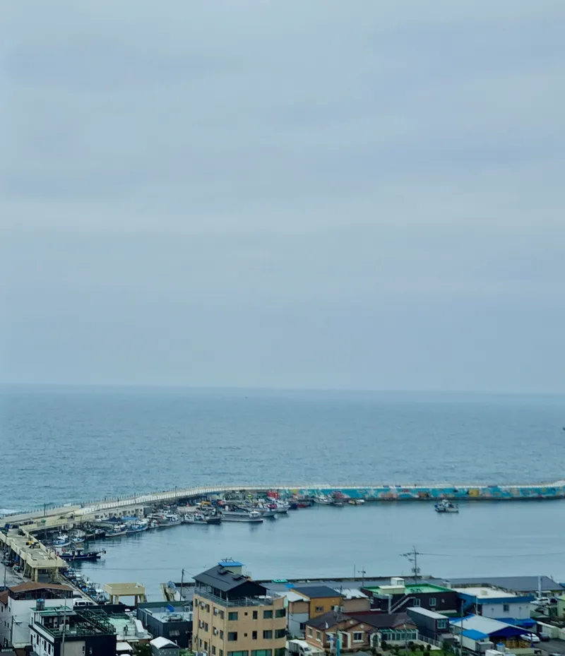 [Gangneung] New Ocean View Apartment, 34 Pyeong, Fully Furnished Three-Room, 8th Floor / 5-Minute Walk to the Sea 21