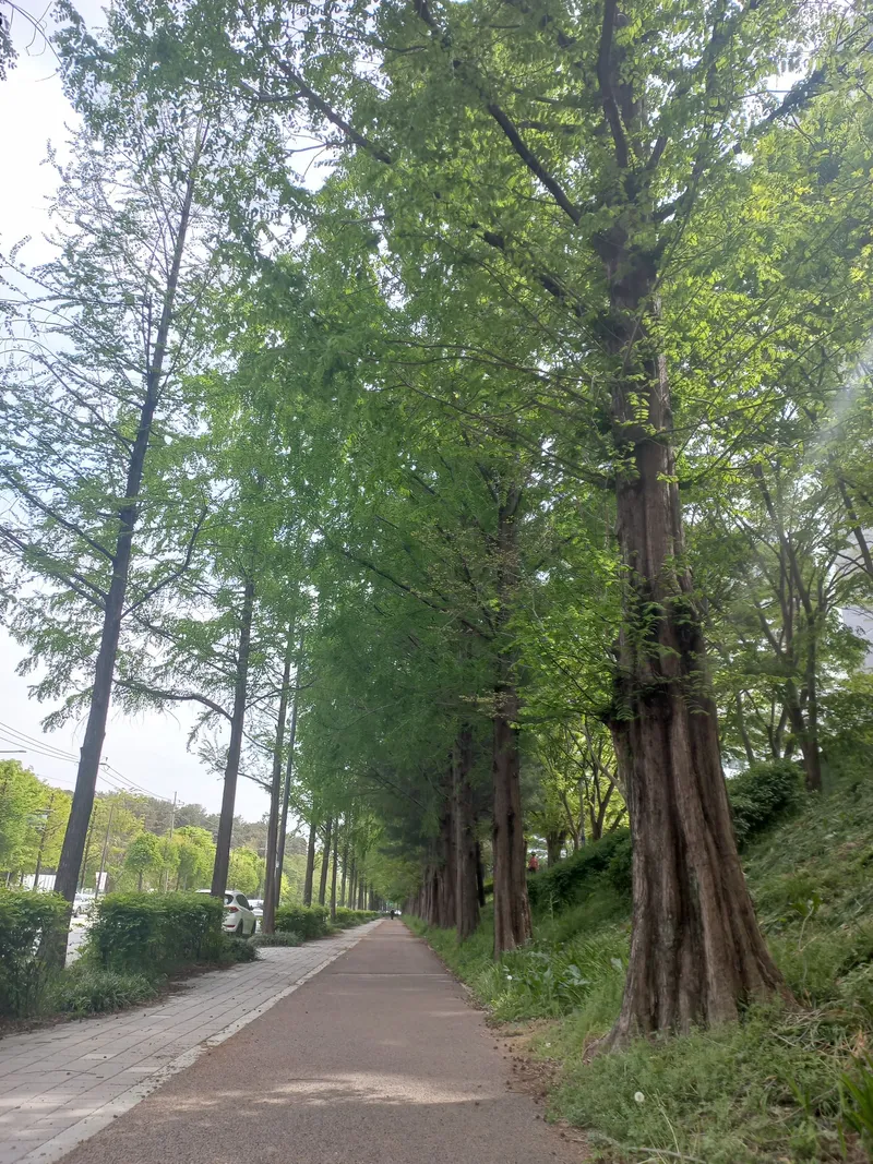 [광주 북구] 솔로몬의 방 24