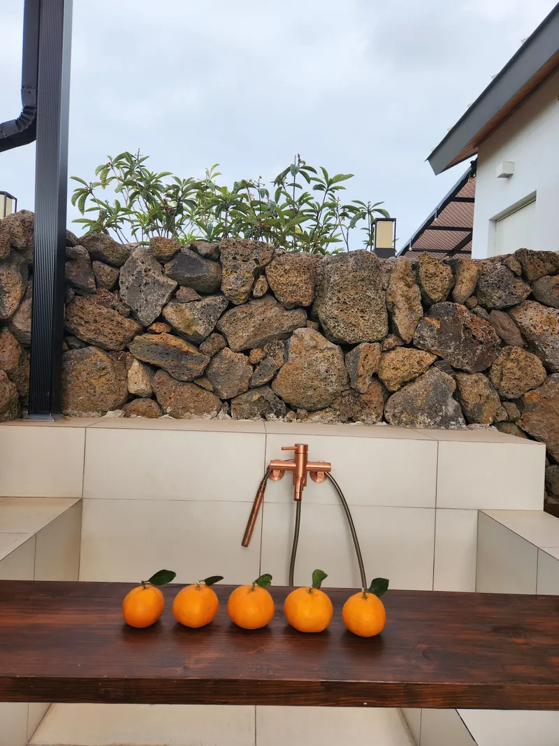 [Ara 1-dong, Jeju] Newly built, 1,000-pyeong (approximately 1,000 square meters) citrus orchard with a Jacuzzi #Near the airport 26