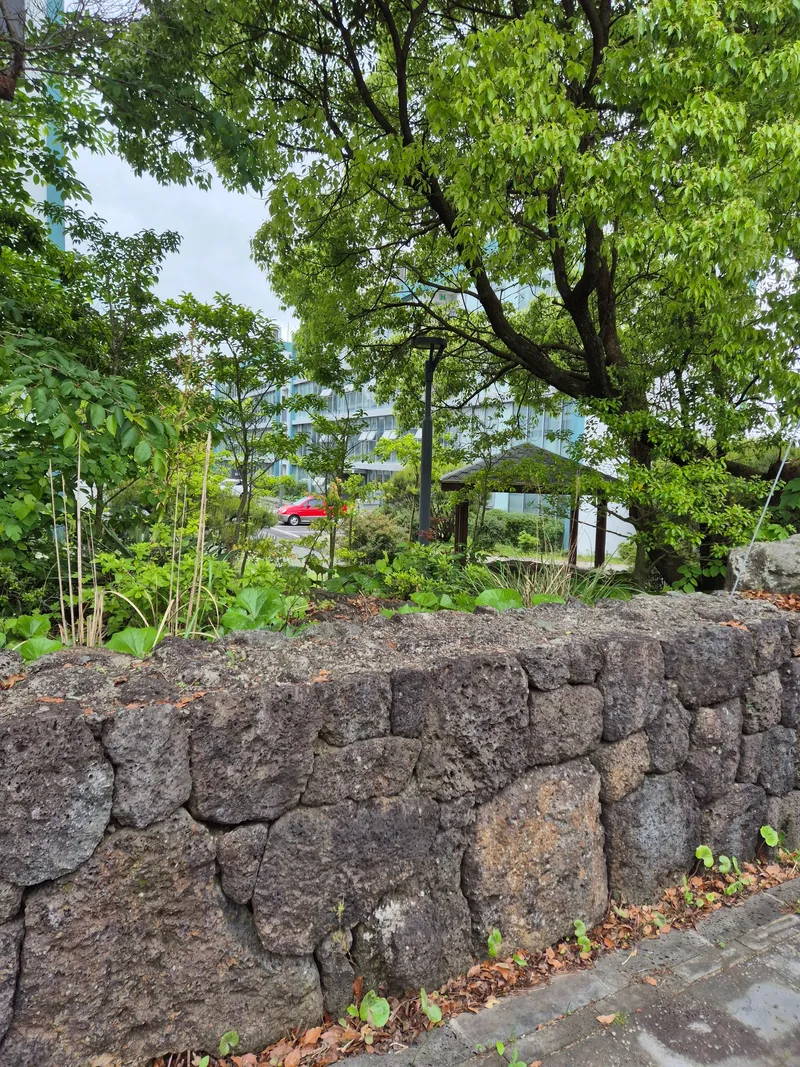 [Topyeong-dong, Seogwipo] (7 days or more) STAY Little Forest #Terrace #CookingStay [Seogwipo] 73