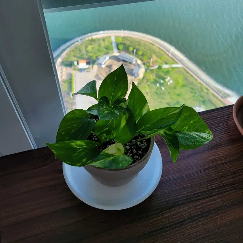 [Ansan] Open duplex ocean view officetel 16