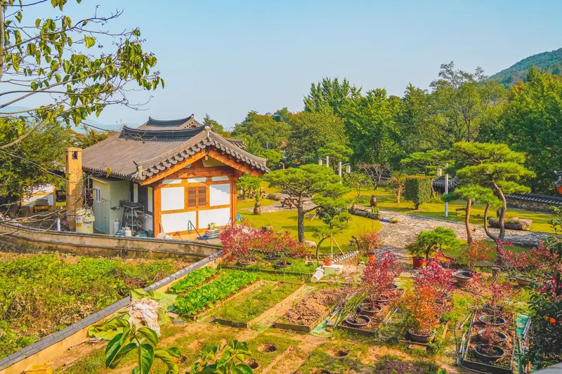 [Ulju, Ulsan] A detached Hanok with a mountain view, lawn, and private tea room 10
