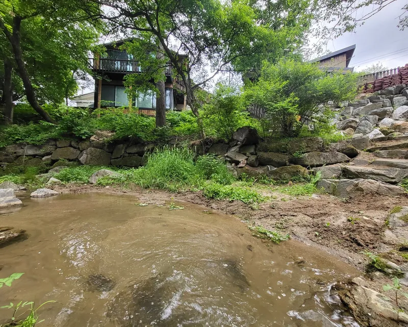 [Hoengseong] Flow + Mindfulness with Negative Ions in the Forest #DogFriendly 21