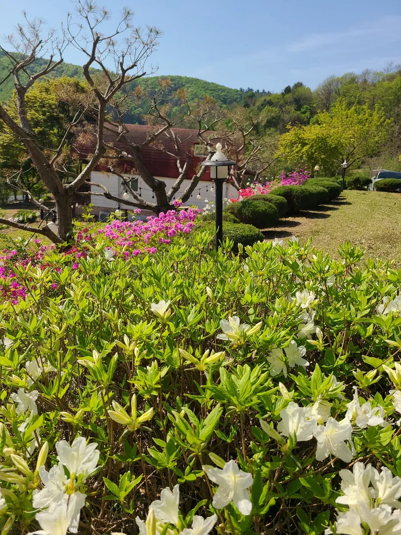 [강원 평창] 캐빈B:넓은 잔듸 위에 동화속의예쁜집청정지역 3