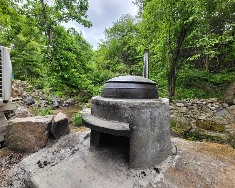 [Hoengseong] Flow + Mindfulness with Negative Ions in the Forest #DogFriendly 16