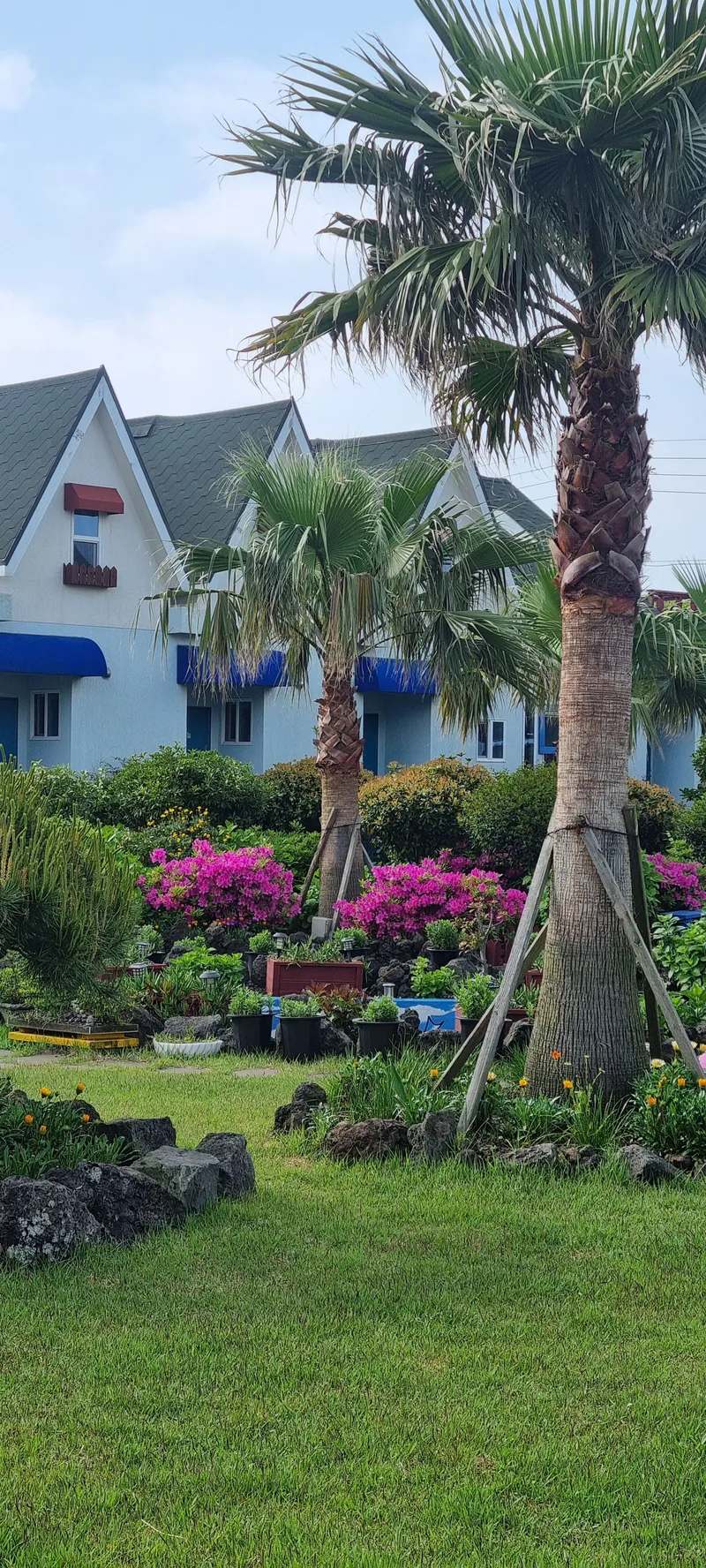 [Gujwa, Jeju] European-style accommodation, pet-friendly one-room duplex Blue Jeju #Large dogs allowed 48