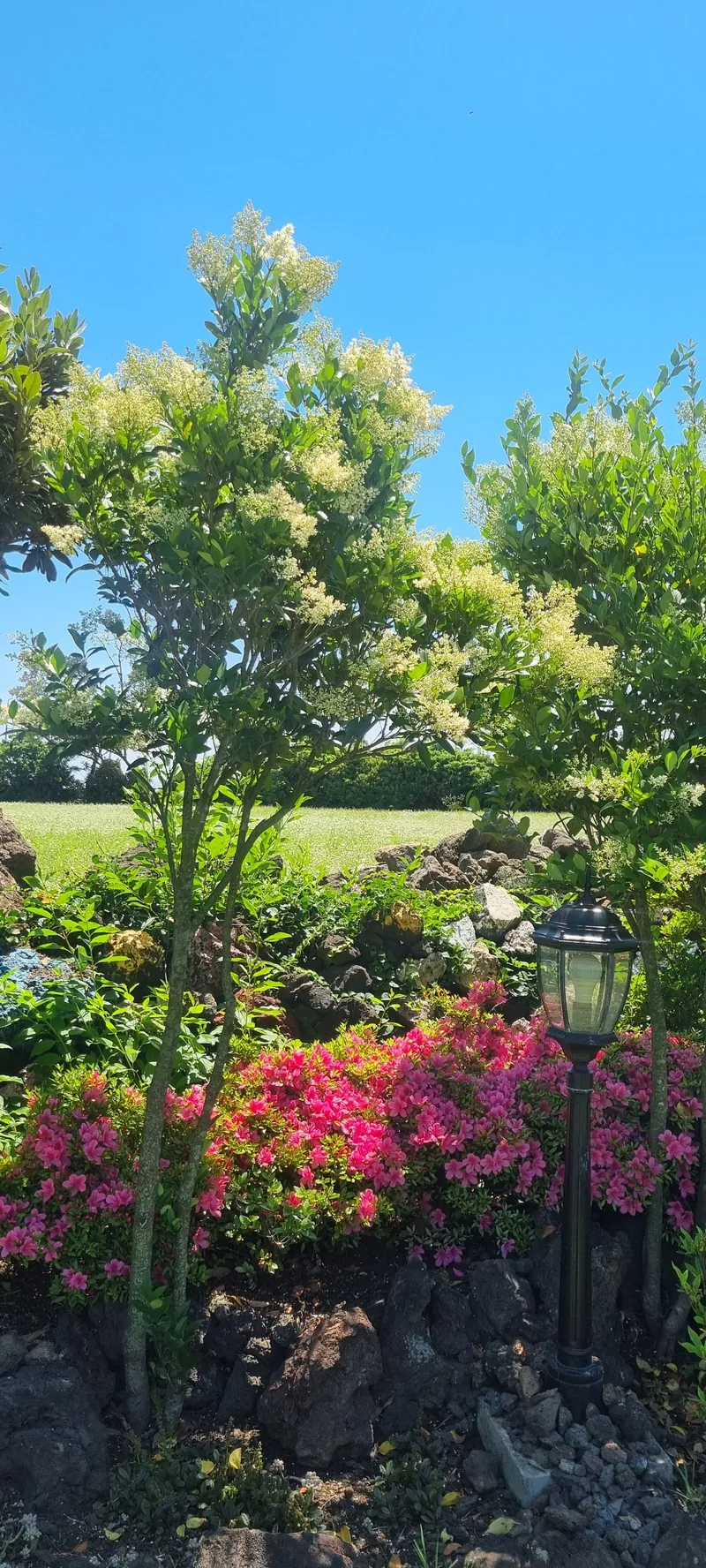 [Gujwa, Jeju] European-style accommodation, pet-friendly one-room duplex Blue Jeju #Large dogs allowed 35