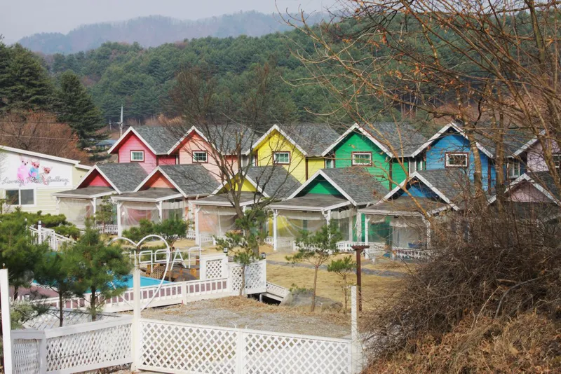 [Gapyeong] The best healing dog pension with beautiful nature #La 7
