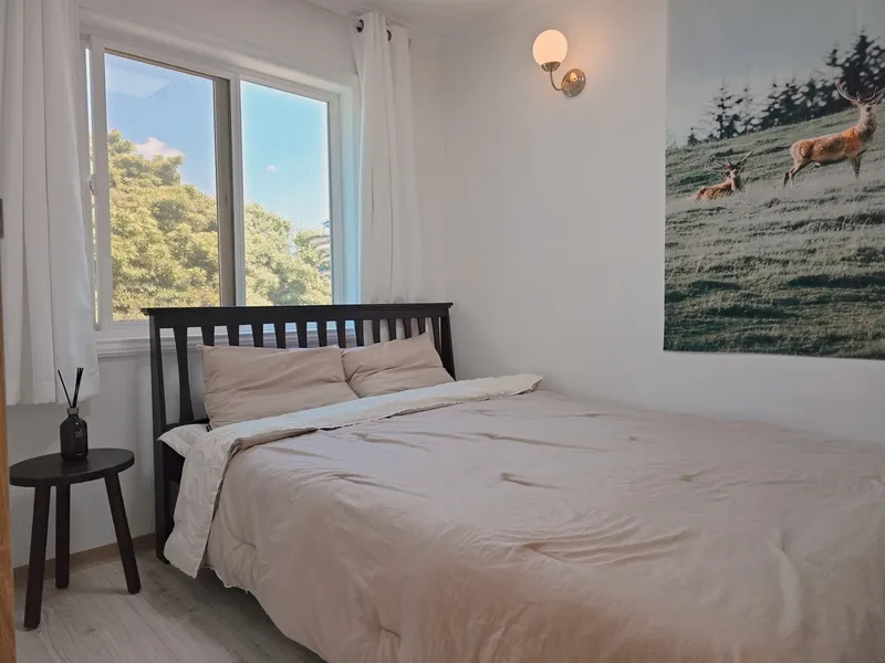 [제주 애월] #오션뷰 #넓은마당 #위치최고 #반려동물사랑 #가성비+감성 2