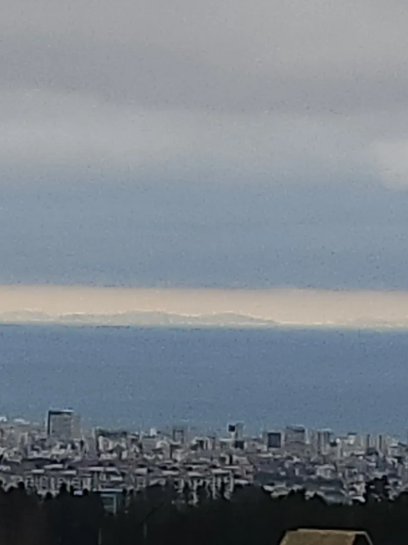 [Ara 1-dong, Jeju] 3 newly built, fully-furnished, stylish apartment with a view of the distant sea and forest area 11
