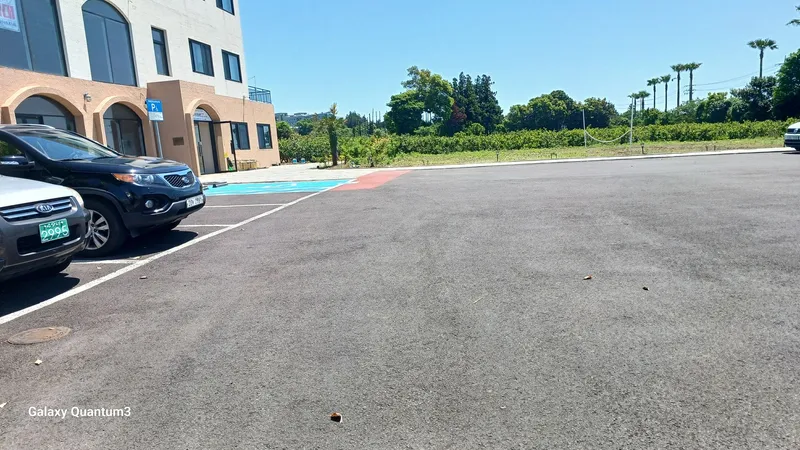[Sangye-dong, Seogwipo] Sangye-dong Tangerine Field Resort Condo 403 with all utilities included 18