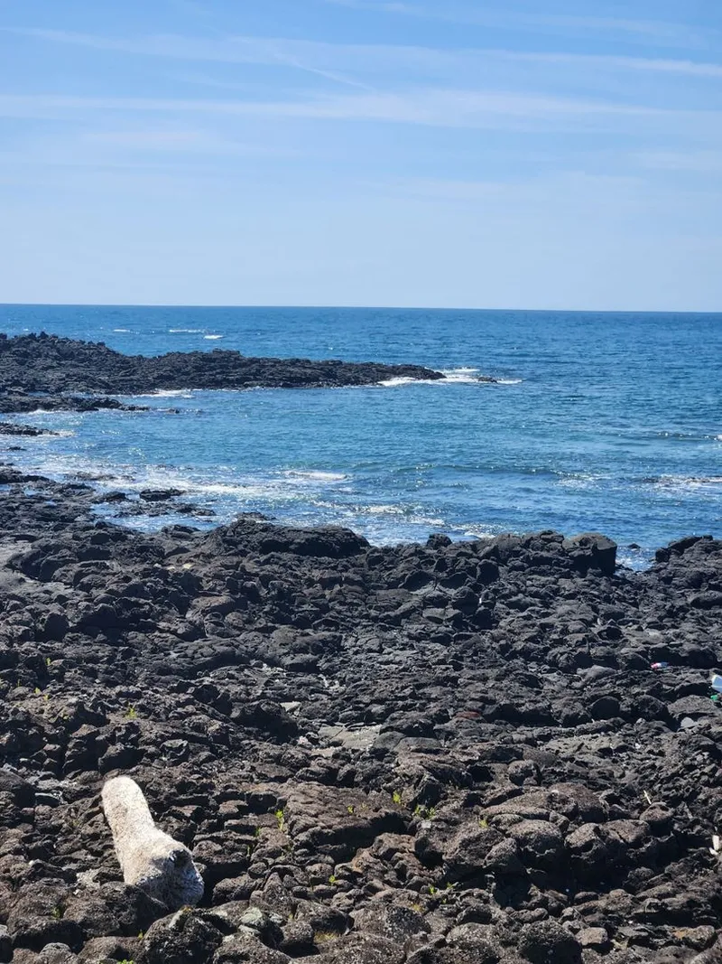 [Namwon, Seogwipo] 30 seconds walk from the beach # Terrace restaurant # 1st class kitchen 21