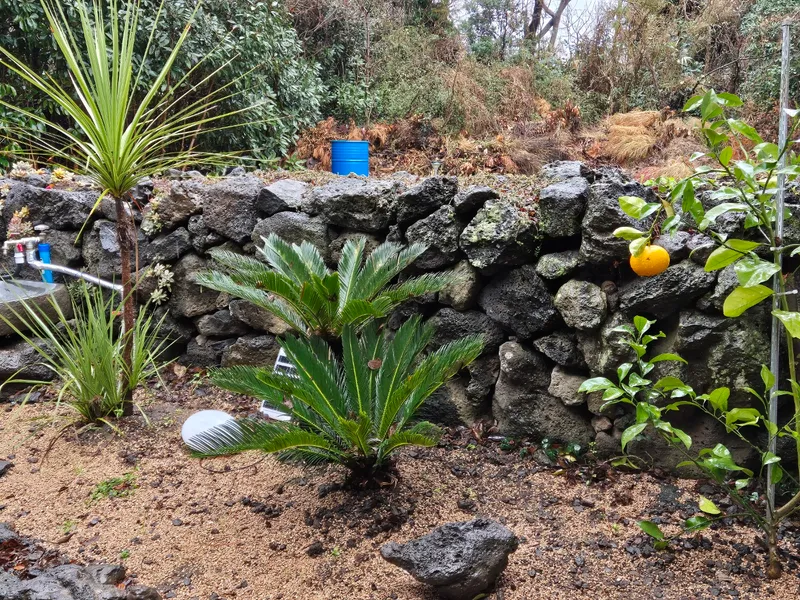 [Hallim, Jeju] A country stone house with a pretty yard and rafters 86