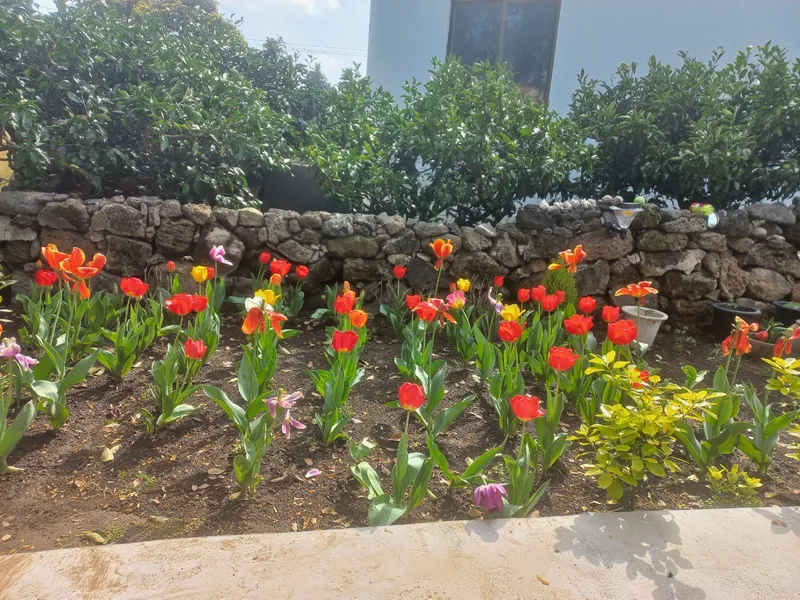 [Seongsan, Seogwipo][Jeju Seogwipo Seongsan-eup] Newly built detached house in the countryside, barbecue, country living, free parking 26