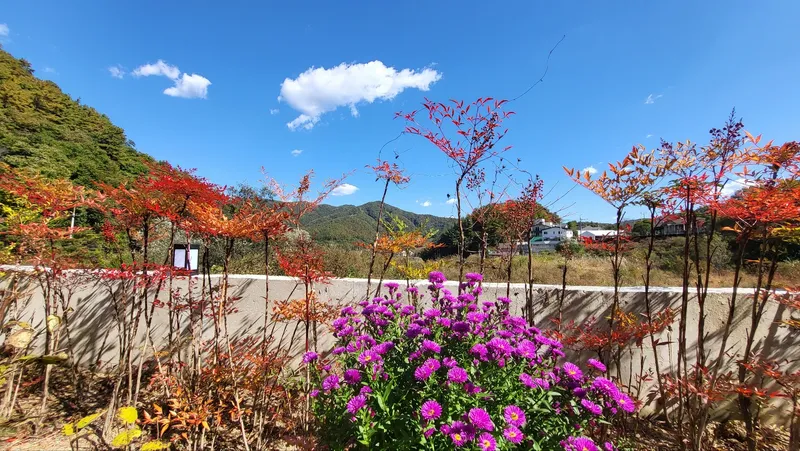 [경기 양평] 용문면 숲세권 단독 노출콘크리트2층주택 17