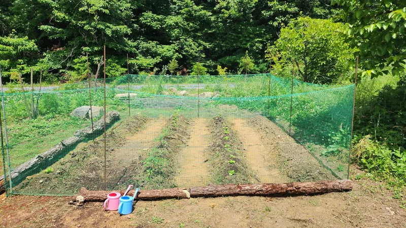 [Buyeo] Buyeo, South Chungcheong Province: Countryside Duplex Guesthouse #Forest #Duplex #Yard #Valley #HealingFarm 12