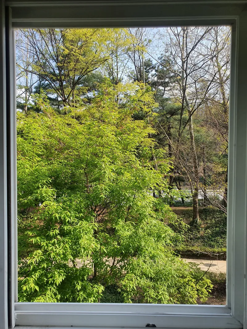 [서울 강남] 삼성병원 정문 #도보8분 #환자보호자 동반가능 10