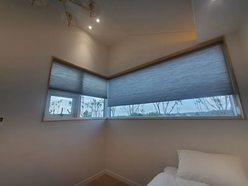 [Namwon, Seogwipo] D4 120 pyeong land, 43 pyeong duplex, single-family house newly opened 40