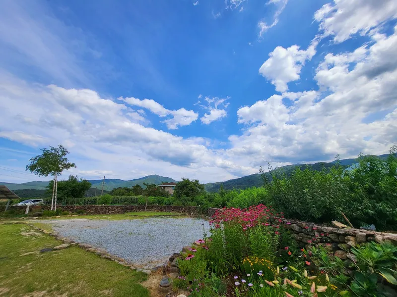 [Gangneung] Healing in a quiet countryside #Country life #Yard #Stone wall fish annex 33
