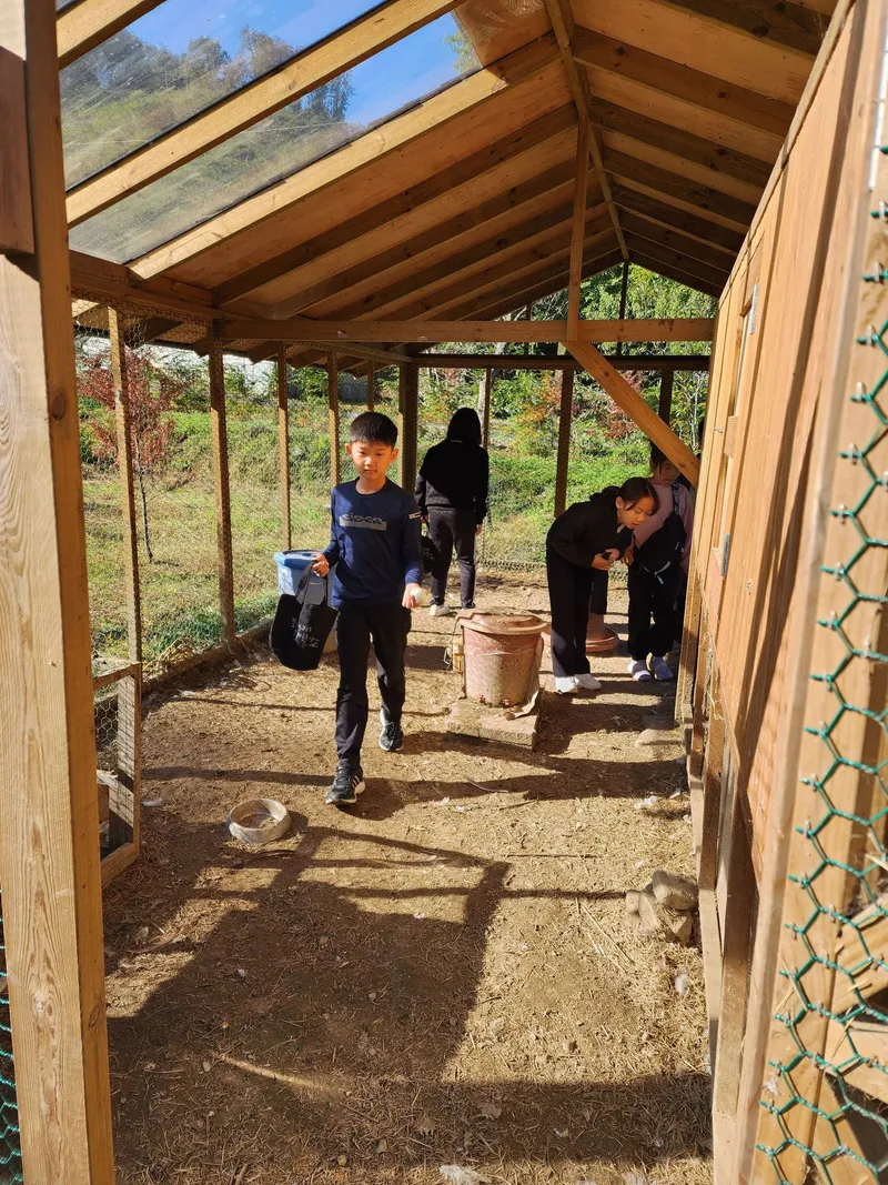 [Buyeo] Buyeo, South Chungcheong Province: Countryside Duplex Guesthouse #Forest #Duplex #Yard #Valley #HealingFarm 34