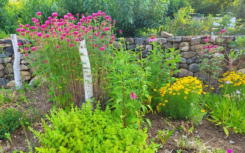 [Gangneung] Healing in a quiet countryside #Country life #Yard #Stone wall fish annex 50
