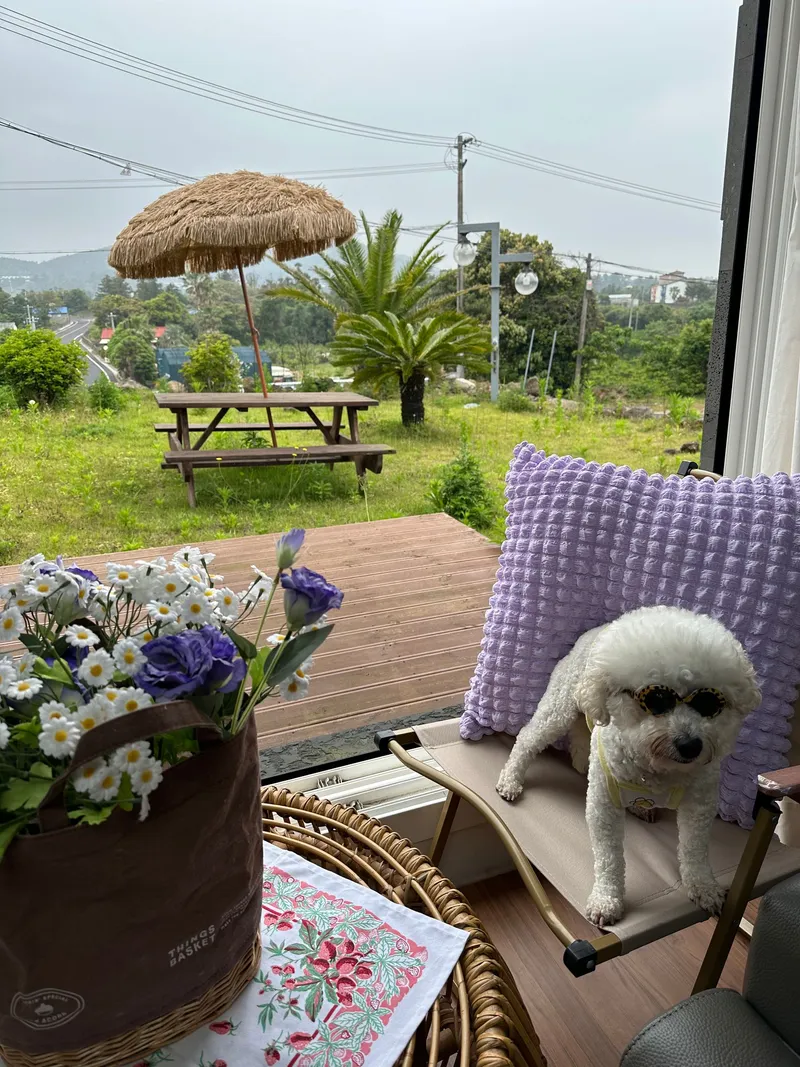 [Namwon, Seogwipo] Seogwipo Namwon Pyeoseon Sea 10 minutes Dog-friendly independent pool villa 30
