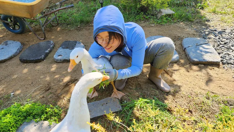 [Buyeo] Buyeo, South Chungcheong Province: Countryside Duplex Guesthouse #Forest #Duplex #Yard #Valley #HealingFarm 22
