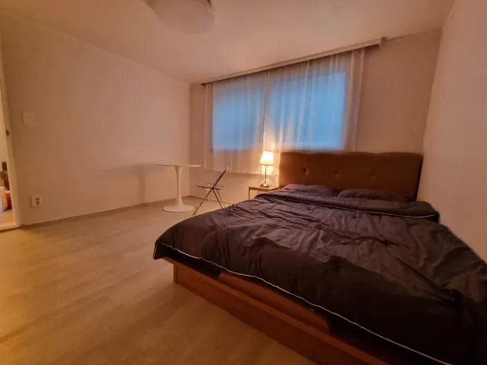 [Yongsan, Seoul] Fully-optioned three-room 24 (2 rooms, living room) 4