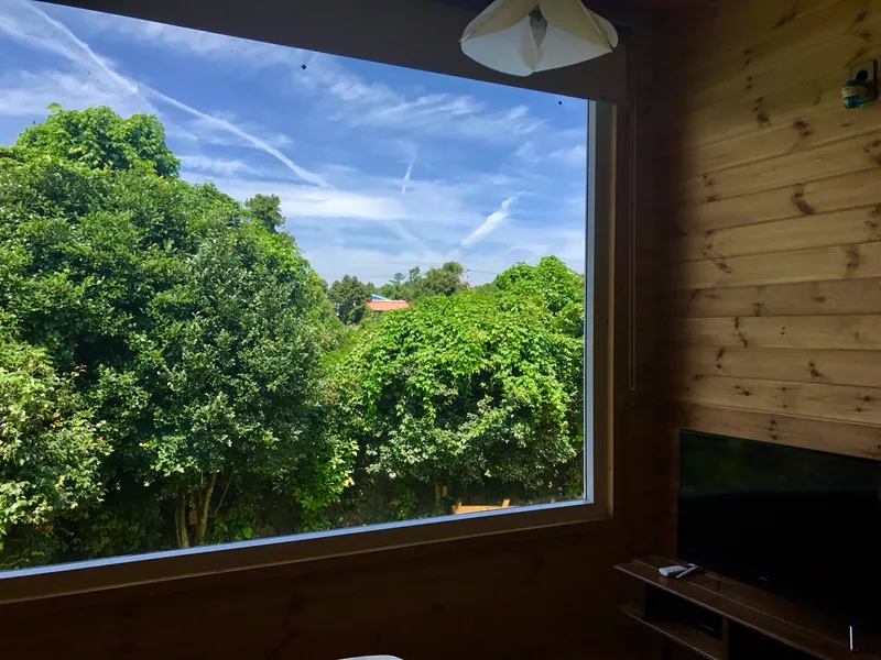 [Seongsan, Seogwipo] Forest Garden Jeju Trees and Birdsong Healing Emotional Accommodation 15