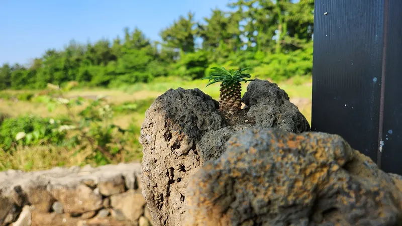 [Hallim, Jeju] 5 minutes by car from Hyeopjae, Geumneung, and Biyangdo, a two-story, stone-walled townhouse 76