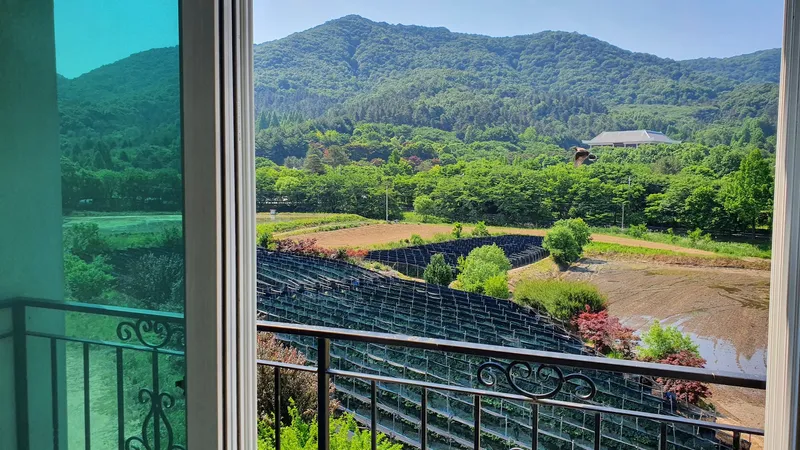 [Sejong] A restaurant with a view of the arboretum. Little Forest with the Geumgang River and the Hwangto Forest Road. 2
