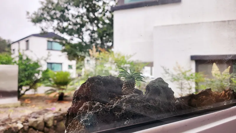 [Hallim, Jeju] 5 minutes by car from Hyeopjae, Geumneung, and Biyangdo, a two-story, stone-walled townhouse 75