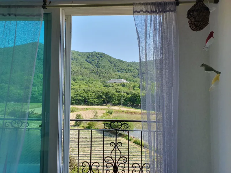 [Sejong] A restaurant with a view of the arboretum. Little Forest with the Geumgang River and the Hwangto Forest Road. 18