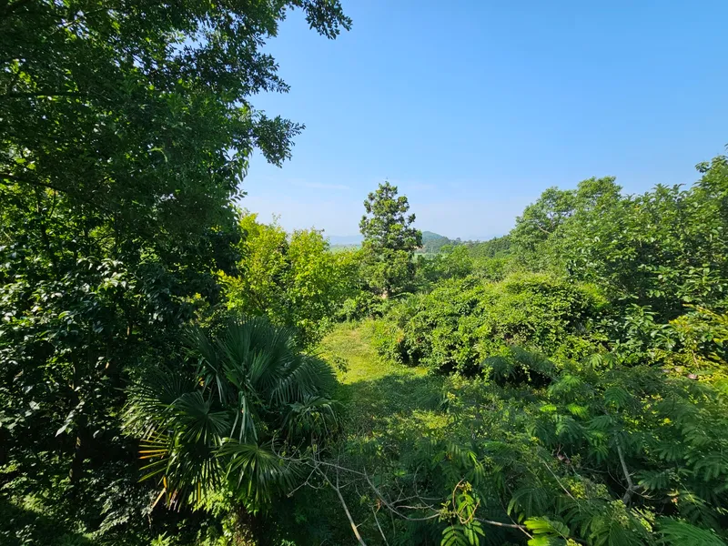 [Haenam] A two-story independent pension D where you can enjoy nature in a spacious 14,000 pyeong area 17