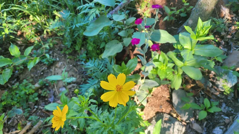 [경남 산청] 지리산 청정계곡 바로 앞 프라이빗한 독채 27