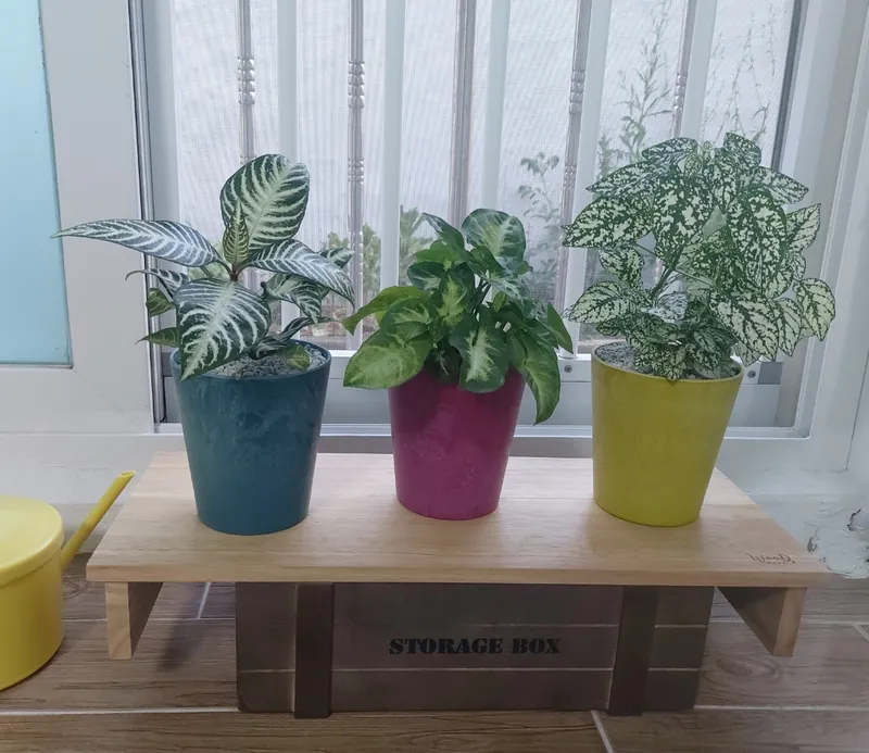 [울산 동구] 일산해수욕장 울산대병원 3분 투룸 20